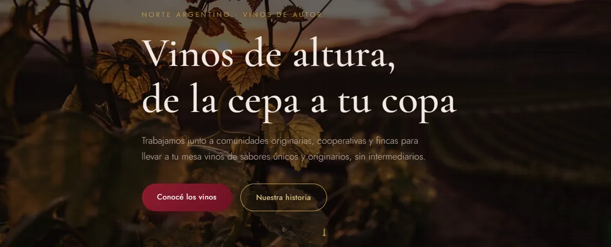Captura del sitio web de Vinos Walco